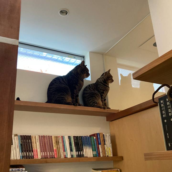 C0d1f41a 9050 4d37 bc6a 9a5adf9db495 1682762130580