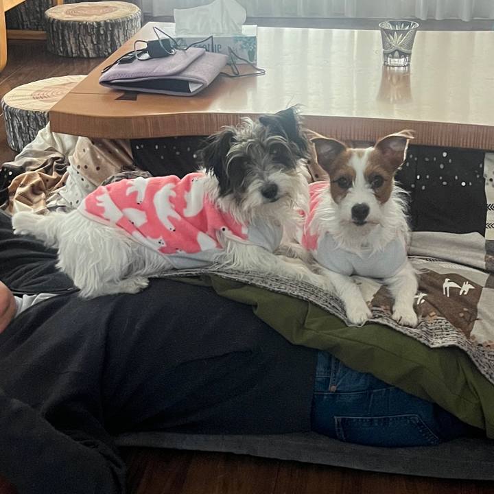 C0d204bb 88ae 48e3 af2b 9b836869289f 1765596800437