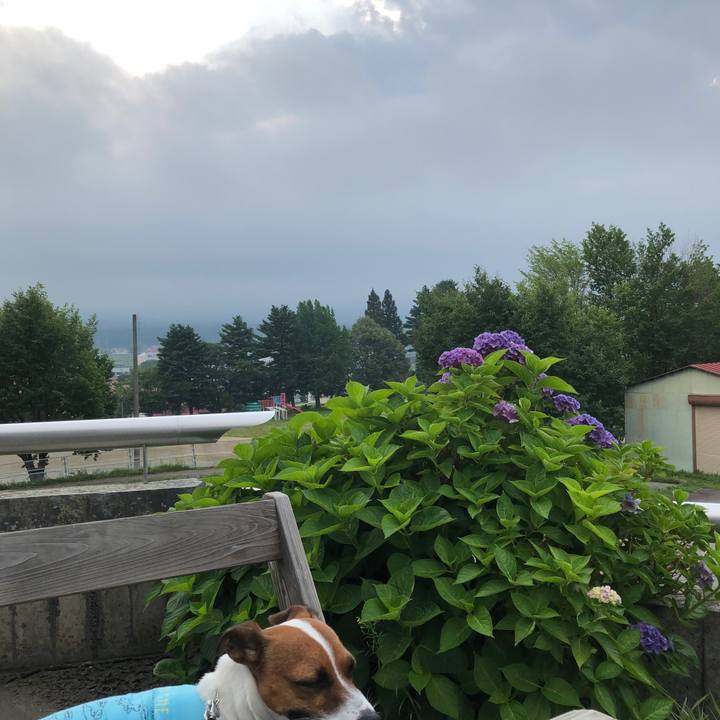 C0d224dd 6135 4be6 8b4a f8db8f487bf0 1564742713530