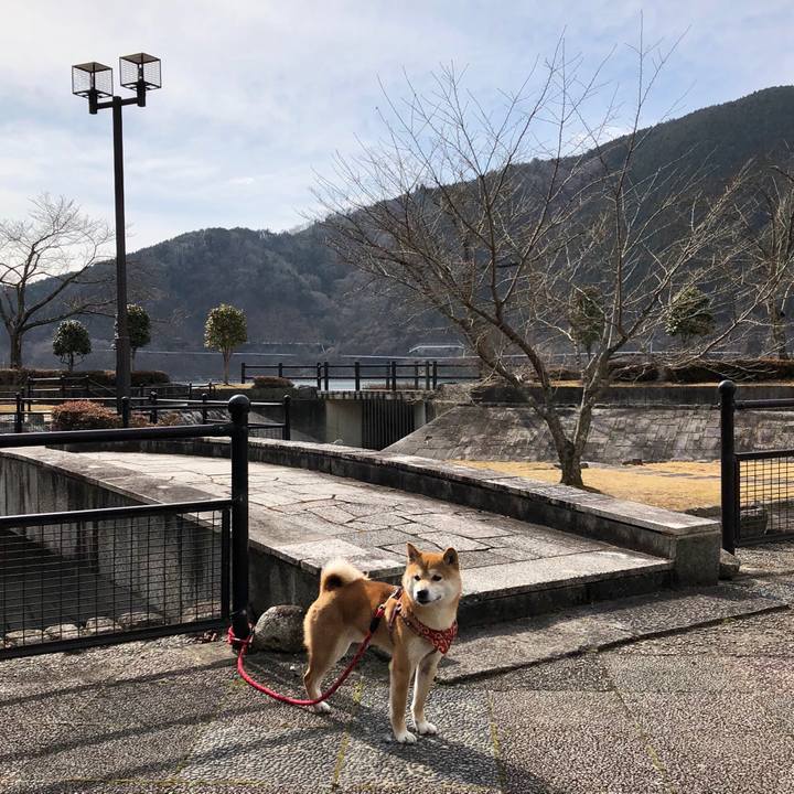 C0d27078 a6f7 49ff b3da a044f744da16 1518773934693