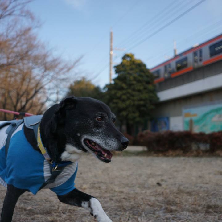 C0d275af ad2f 42af ae1d 3a83b7a943ac 1768436950946