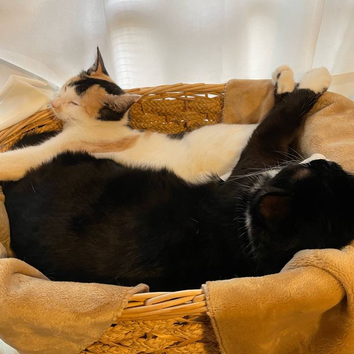 C0d27b67 7f29 4e4b aadc cfd6692eb550 1670829151703