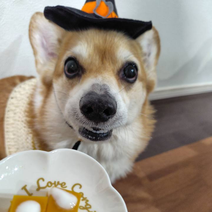 C0d28d48 d86f 4076 89ef 346a85dc31cf 1761910654015