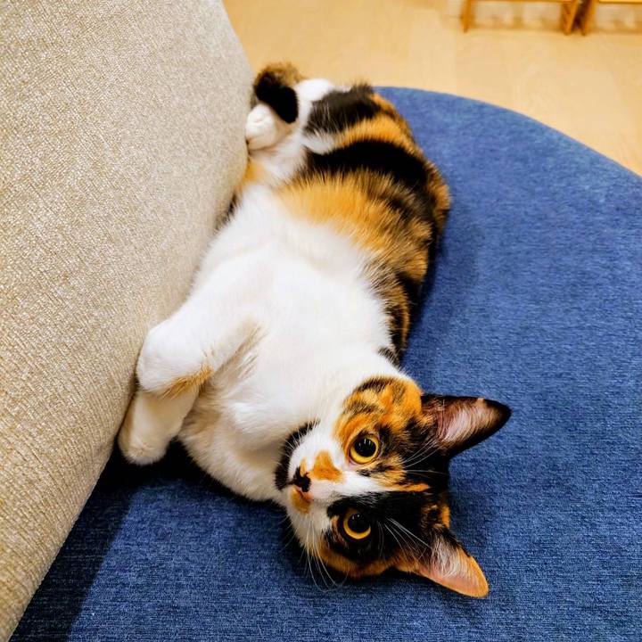 C0d2bc67 30e0 4cb2 ab68 8b69f346c620 1773460243169