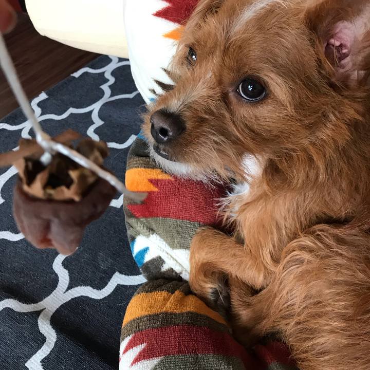 C0d2dd6b 014e 486a aa13 93dddefec563 1542885960867