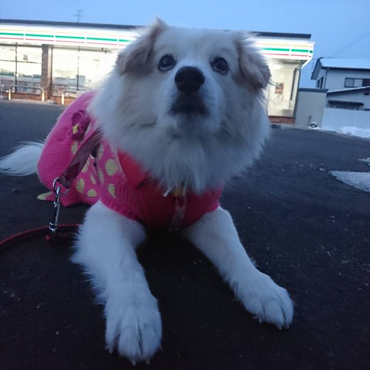 C0d2f79d b8af 4970 a00f 6159ac199844 1517435484928