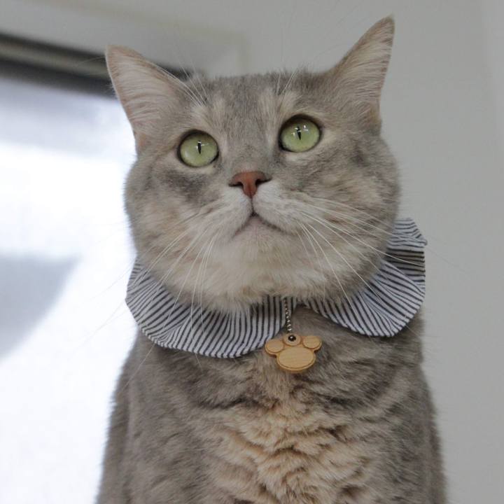 C0d3067c 4fd5 4d1a 9060 ae5daec1b3f7 1660793391109