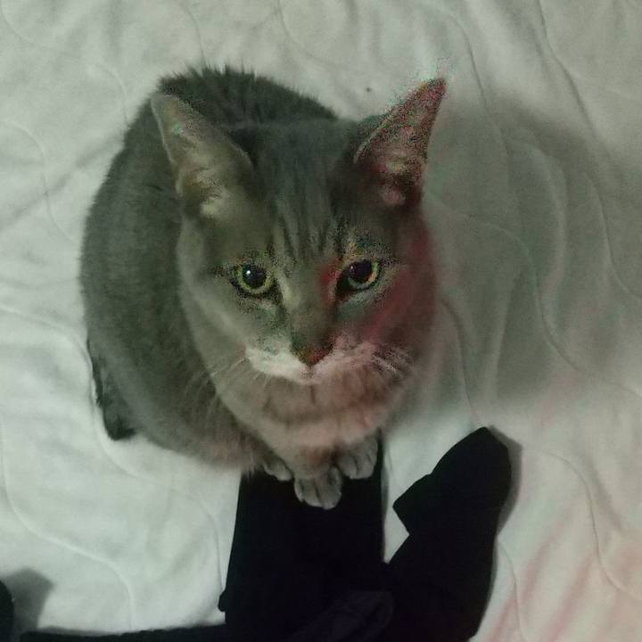 C0d342f0 634e 44f8 a7b5 ef1877ab4226 1672090087666