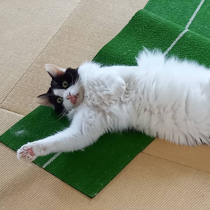 C0d351f9 1768 4797 9cd3 554b9ef003c9 1622192299259