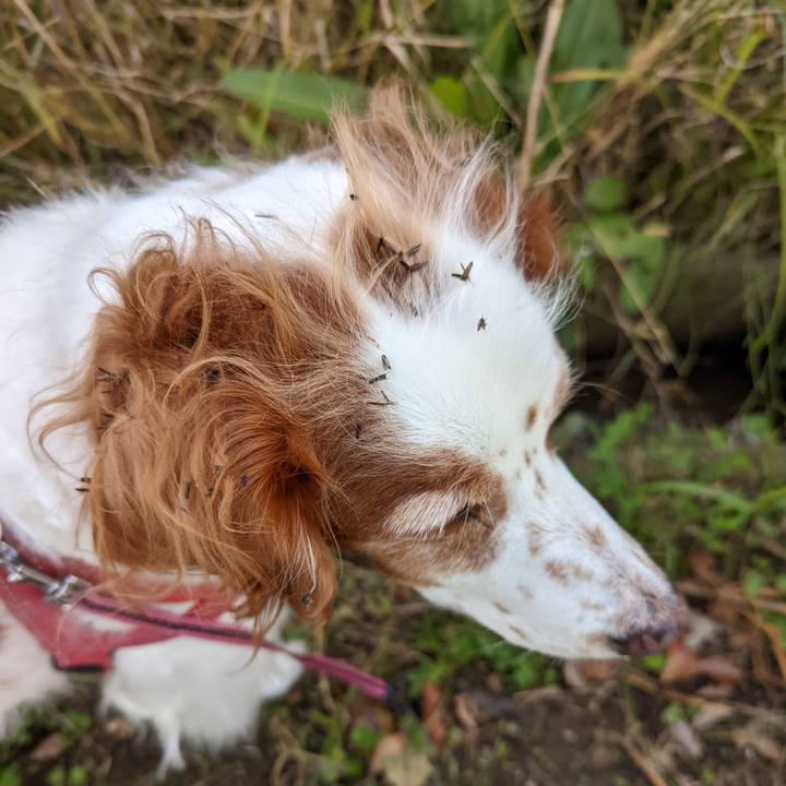 C0d3576b 2a34 469d 829b e945dad7fc7d 1668685791791