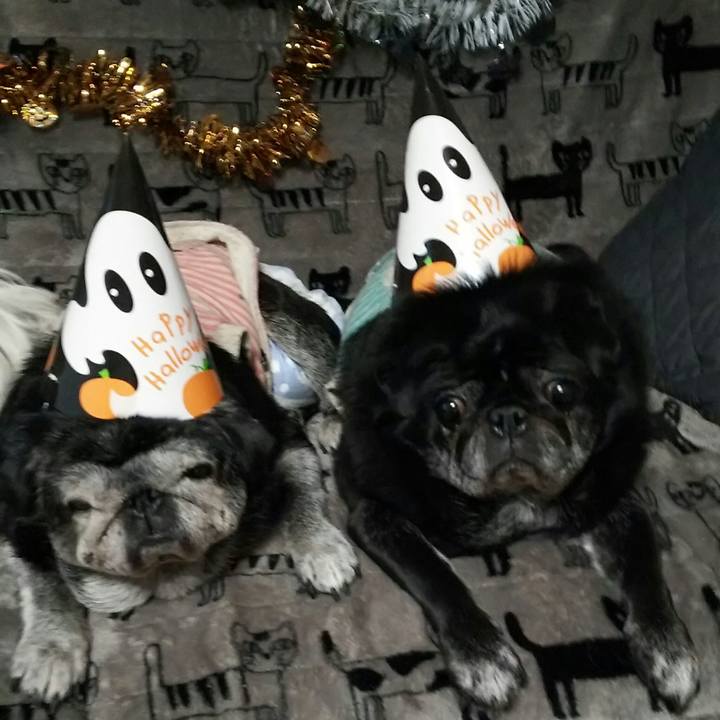 C0d368c1 10b2 4fa3 bf30 527d477f2b41 1540997610656