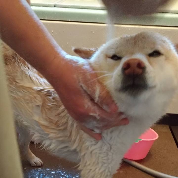 C0d3775b e844 4b76 9411 21f1f5b03457 1587779541417