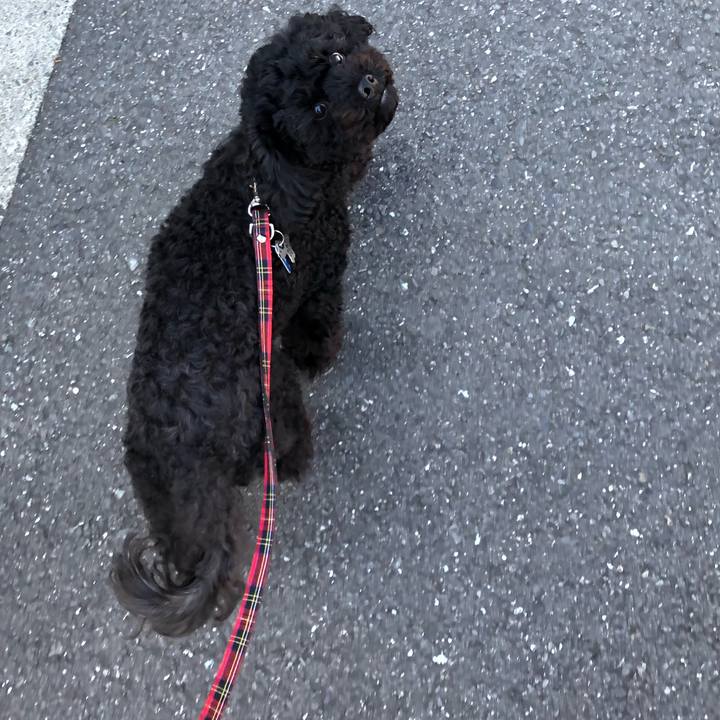 C0d37a90 7116 491d 8b57 ccb28a34b3f4 1552113894363