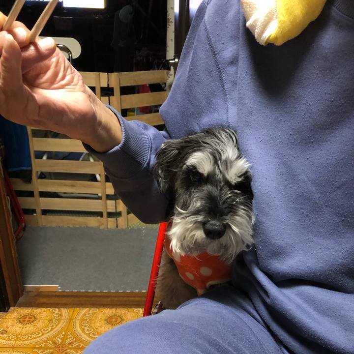 C0d3d712 13d3 40e2 b588 474b93173f68 1680177571068