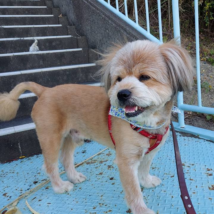 C0d42b6c ab93 4052 bbe8 57fae399b82f 1627473376261