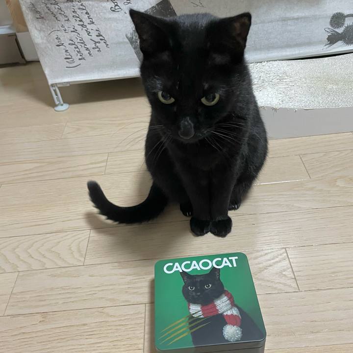 C0d44fca 2641 4407 a9ad 361e36afe219 1767875591688