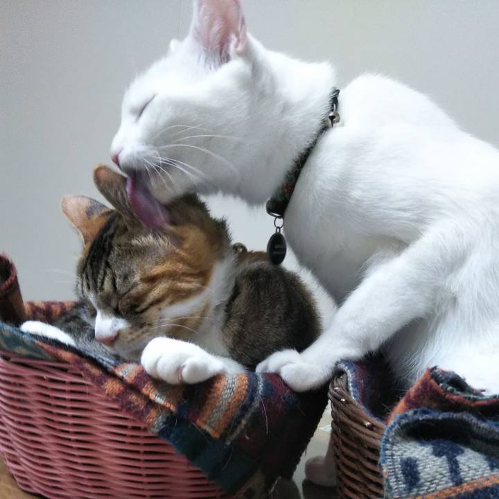 C0d46a4f 0674 4f35 8c86 fa814df225a3 1639052962693