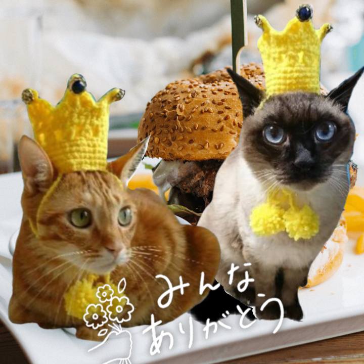 C0d498c3 30e8 41c9 9473 43e015c88c43 1591332251655