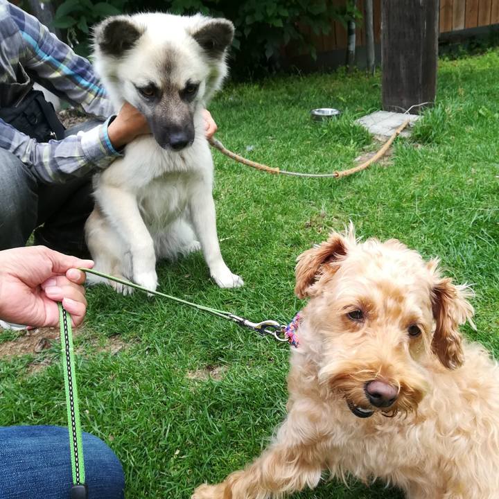 C0d4ac45 2db9 4891 a0da 22b3a876cc70 1564094314291