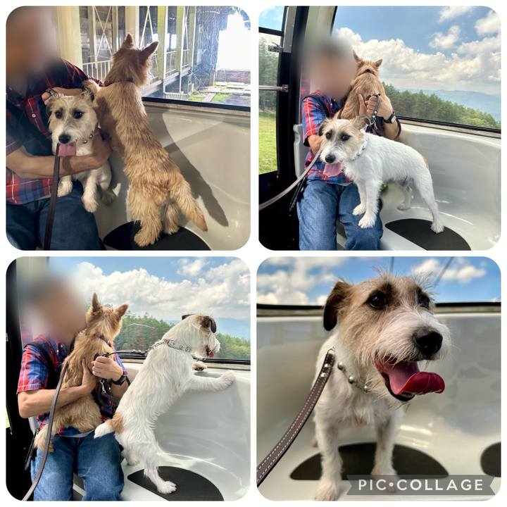 C0d4d027 ff62 4c17 84d0 ea23b714bc72 1722693035009