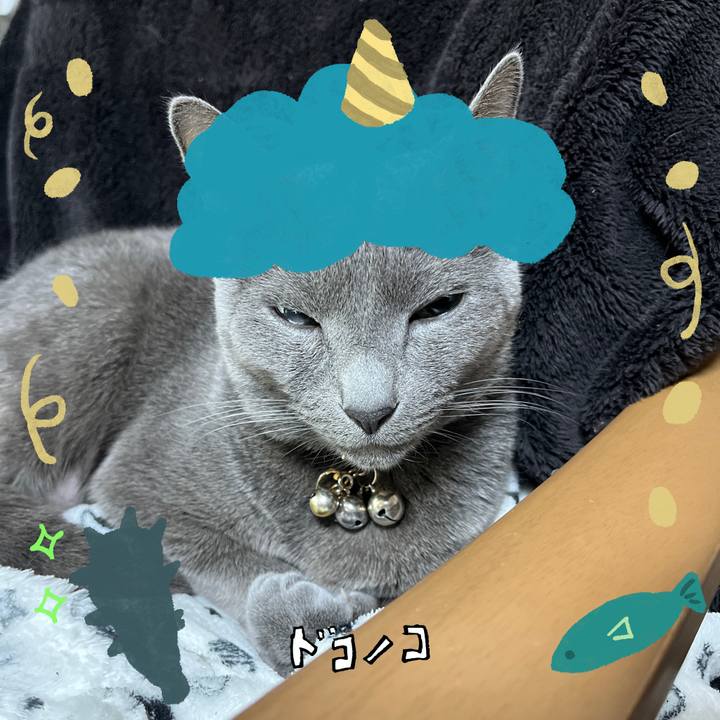 C0d4d170 2d82 428c a127 d5fa91f3b0c0 1706769076792