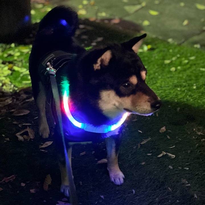 C0d4dc44 754d 4c95 bf11 2ee303023864 1702865207739