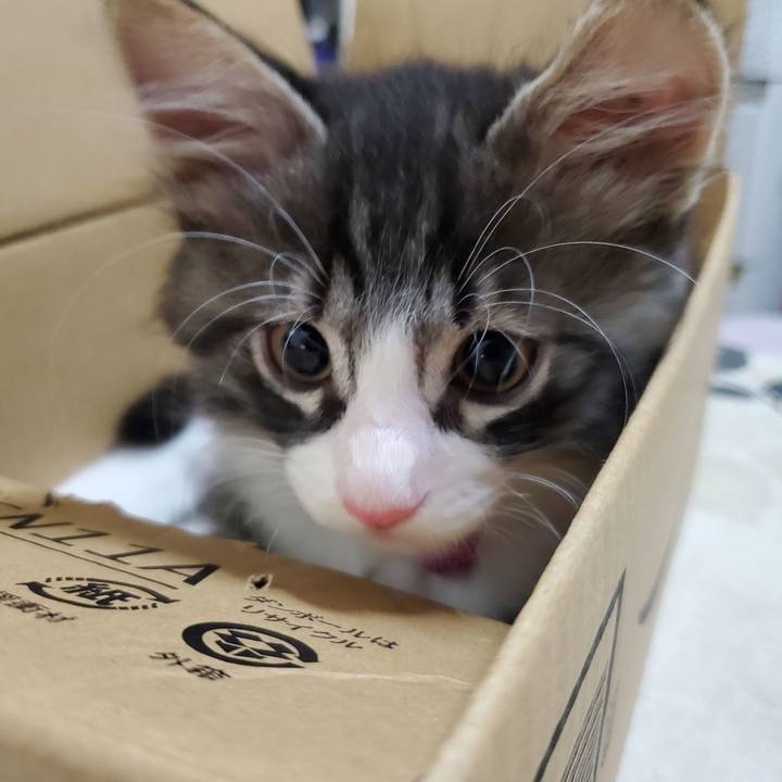 C0d4f2bb d4f1 40d6 ab8e 3ae8c07d7afd 1627464188926