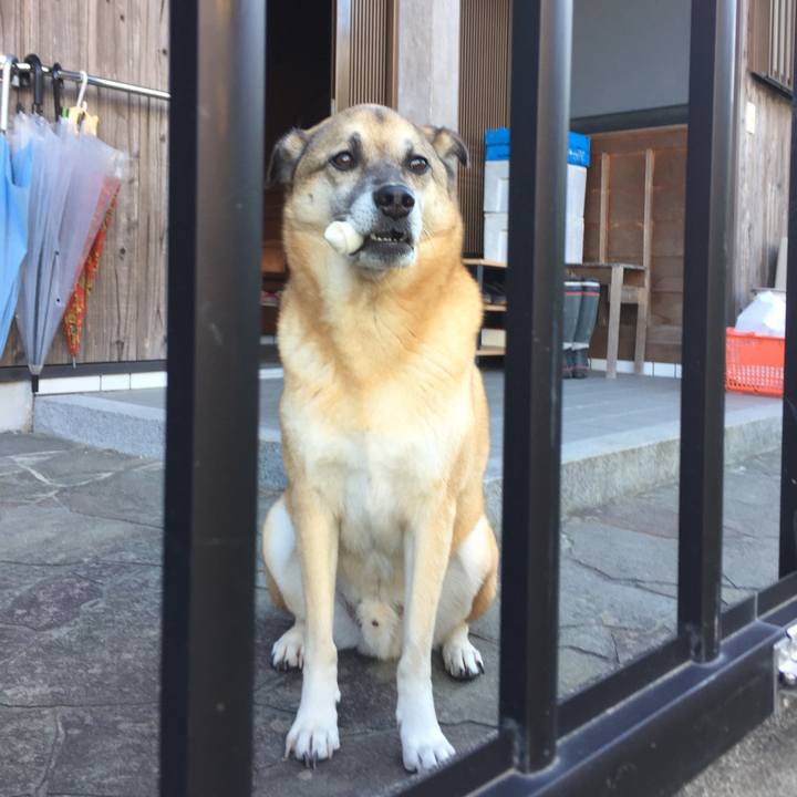 C0d50f0e 09c1 4886 9221 46dc85601fb6 1510465966958