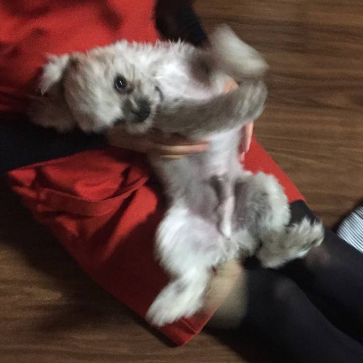 C0d58fb5 788d 4e01 996d bb41280b9fc2 1518873579345