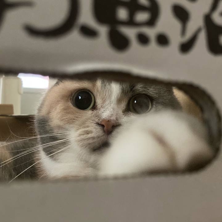 C0d5948c 9600 425a 8fda e5dff0fb1e11 1633307716254