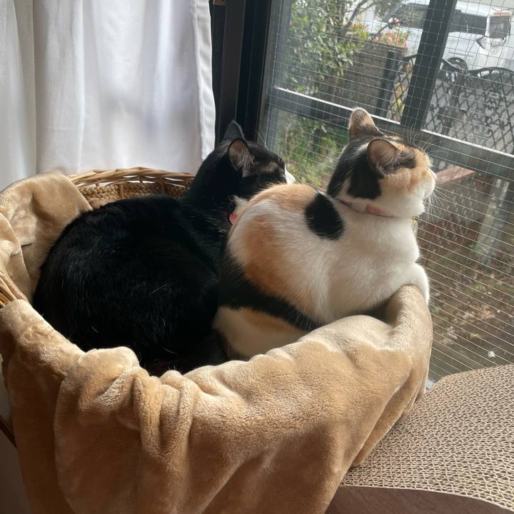 C0d59b8e 6782 4ea2 bc5d 013379dd5c36 1670981234470