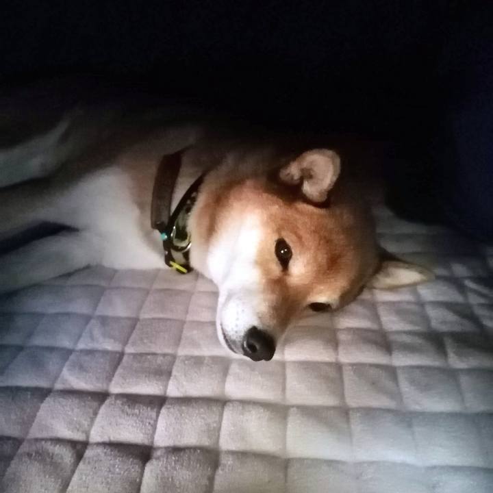 C0d59e84 25e0 4012 9a77 132c3196a287 1610674070475