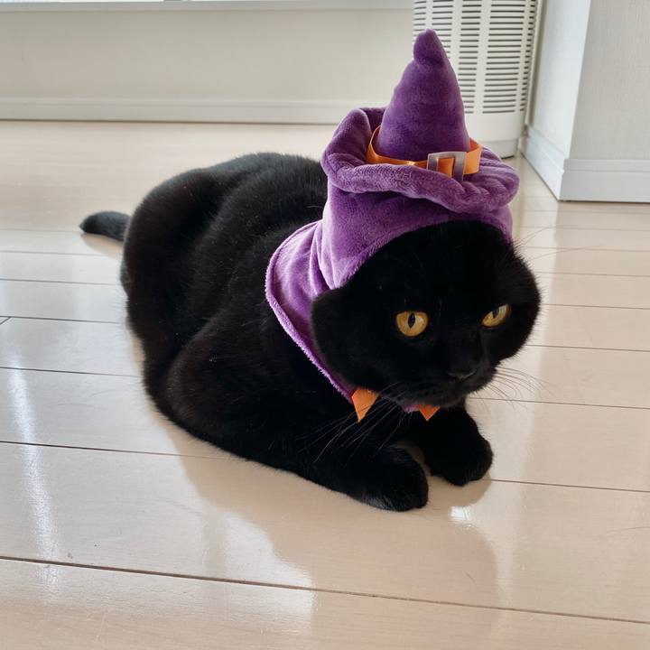 C0d5a10f b8bf 42cc 8109 f2f5a7c0651c 1604098921528