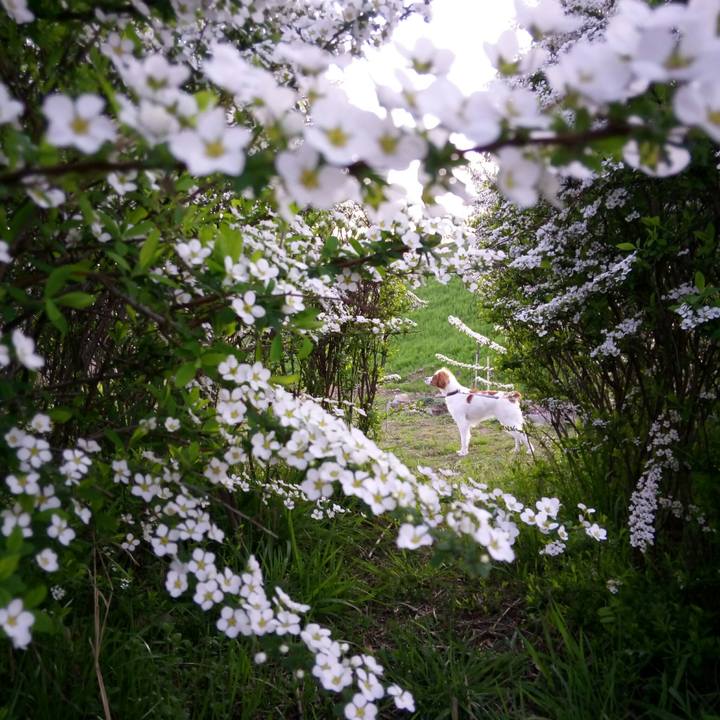 C0d5c15f 0e5e 4d27 b1d8 bda34e9d7e58 1522149323933