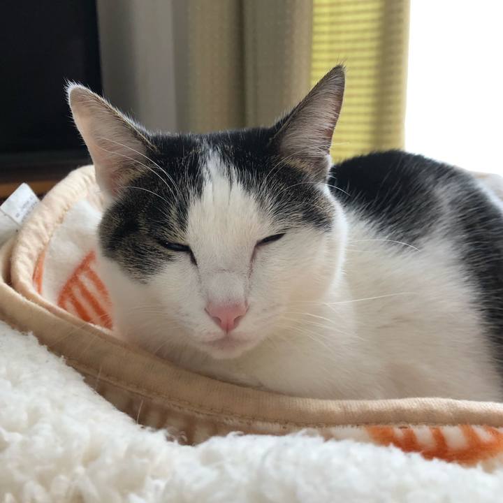 C0d5cca4 c741 47c6 a351 76927ffc61e9 1699839551324