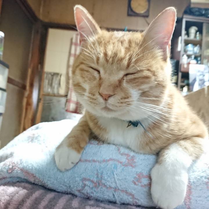 C0d5ed45 67b0 4eec bf61 7cf638dad6c9 1606631957100