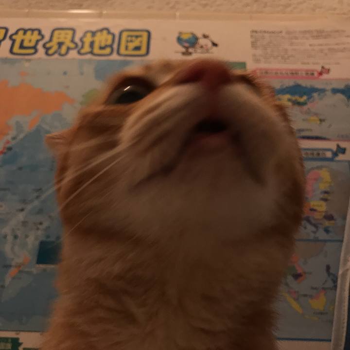 C0d5fd75 dd40 46a2 9f91 5f3f98afe3ec 1532170350461