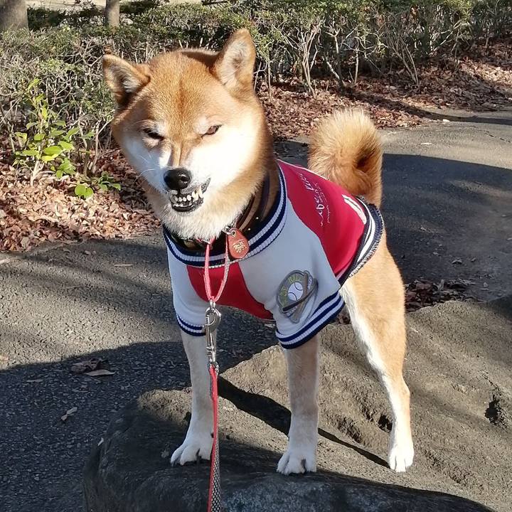 C0d61110 e848 45d2 8aa2 785bc4d0b519 1608252971571