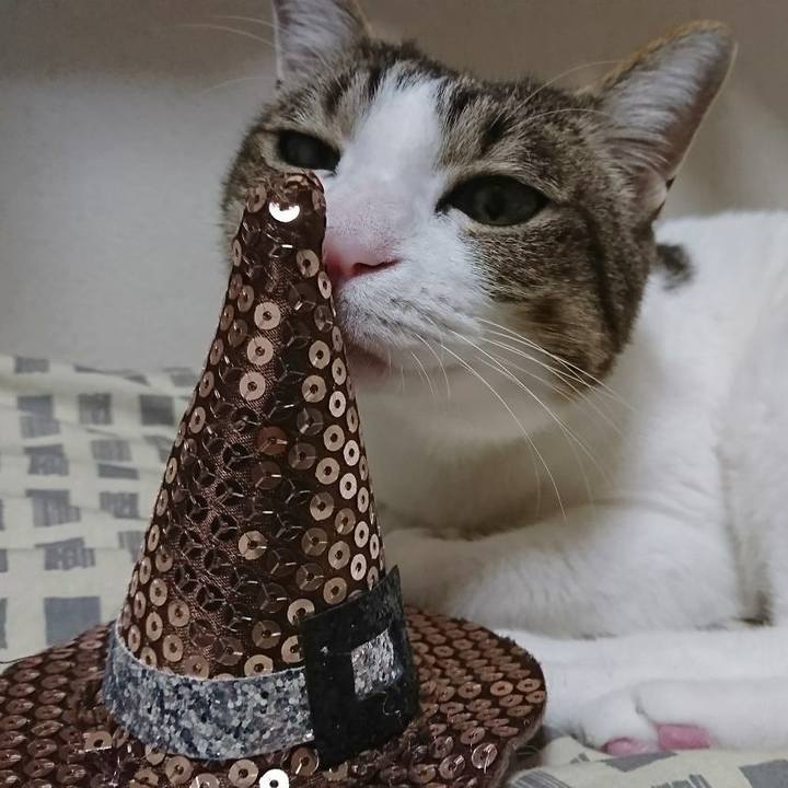 C0d6236d b068 41a5 862d 2406bf8b0931 1509460358353