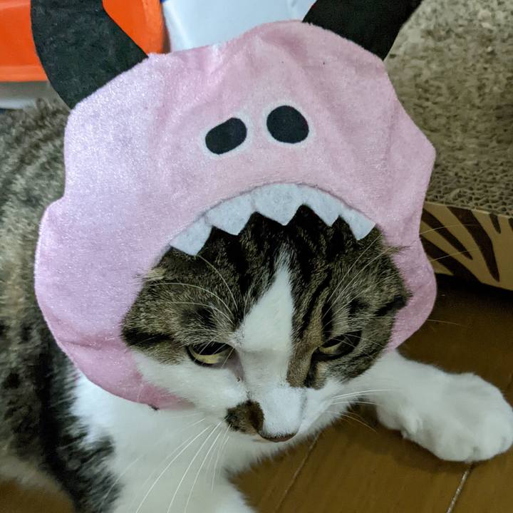 C0d62dde f4dc 449c 9f88 5b14252b1107 1667214946453