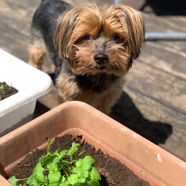 C0d637ea 3e06 4ab1 9bcd 241687fdd36b 1618109364779