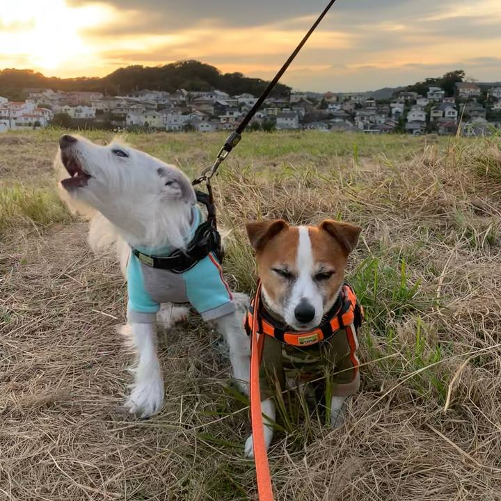 C0d65596 5ad2 457b 969f d80798b83a92 1634802971779