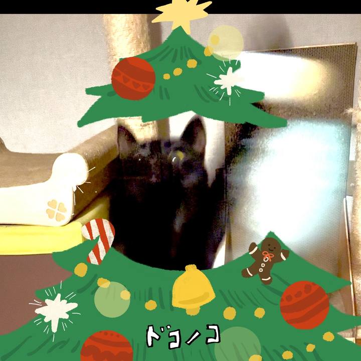 C0d674ca ccf2 4f0f b1be 46c5fca9d10d 1761829299341