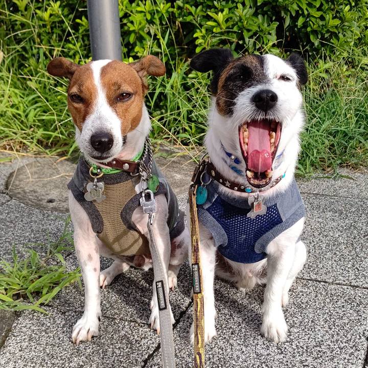 C0d6a352 a3ef 46e8 bb70 944bdadaa83c 1659649612473