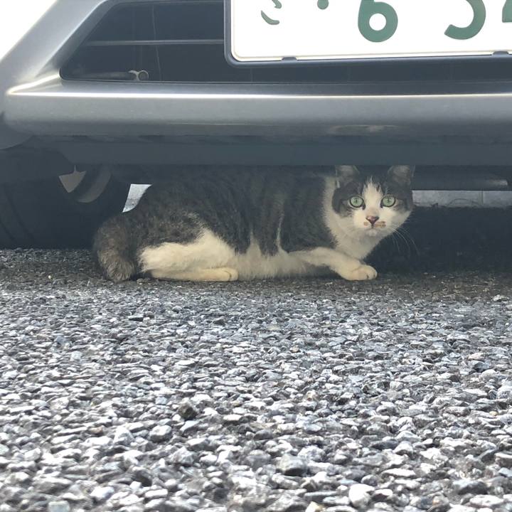 C0d6b9de f85d 47ff 97dd e345e91eb013 1572732917628