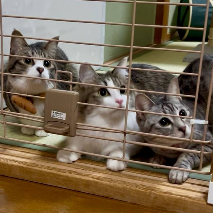 C0d6cd55 c26f 45a0 9647 96ae8b4baf16 1739918171055