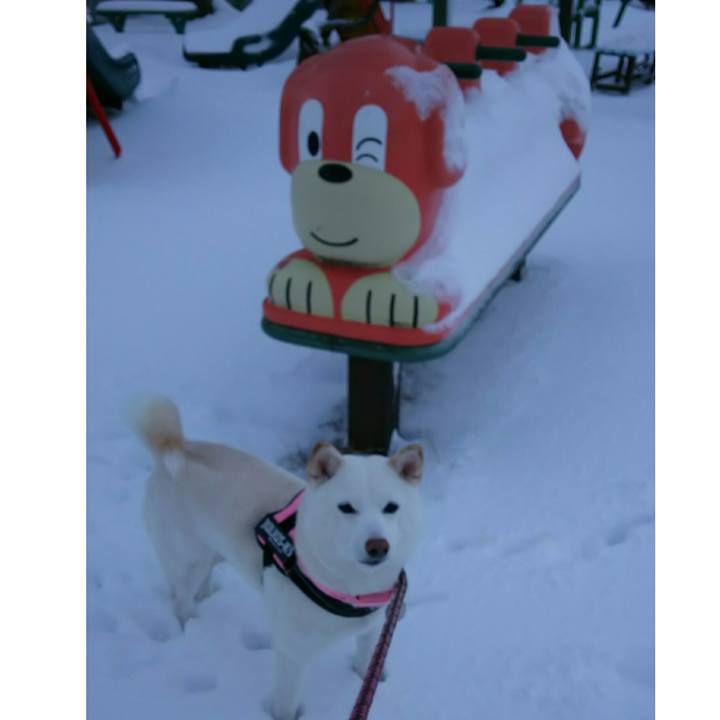 C0d6dd02 7eec 4332 88e2 331e5efc2fd7 1516869103286