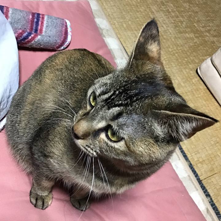 C0d6e947 fd02 4e07 9ece 424f15769306 1583310262075