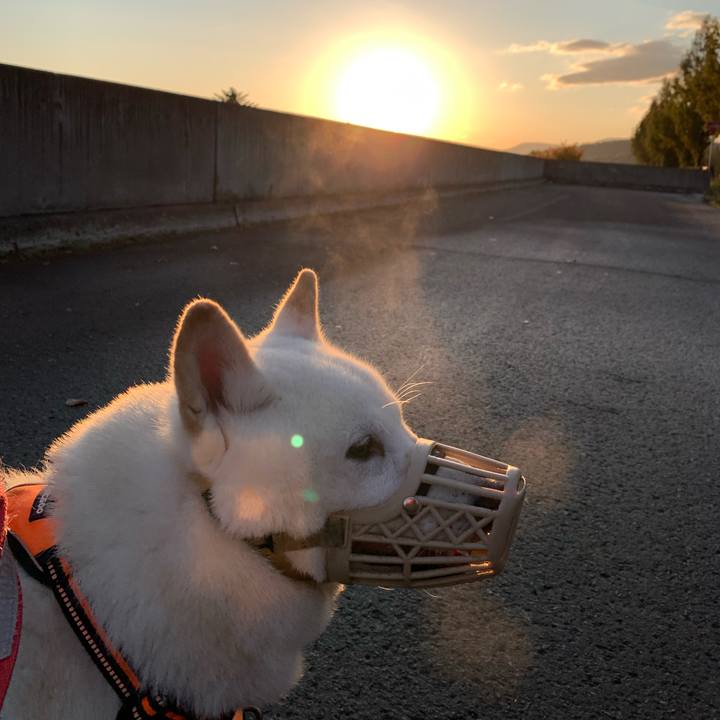 C0d704af 86e6 408e abac 7d89171d5785 1635028116638