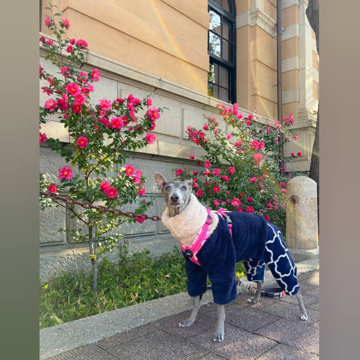 C0d73f11 cb15 412e 9512 8be1451b8b43 1768648771634